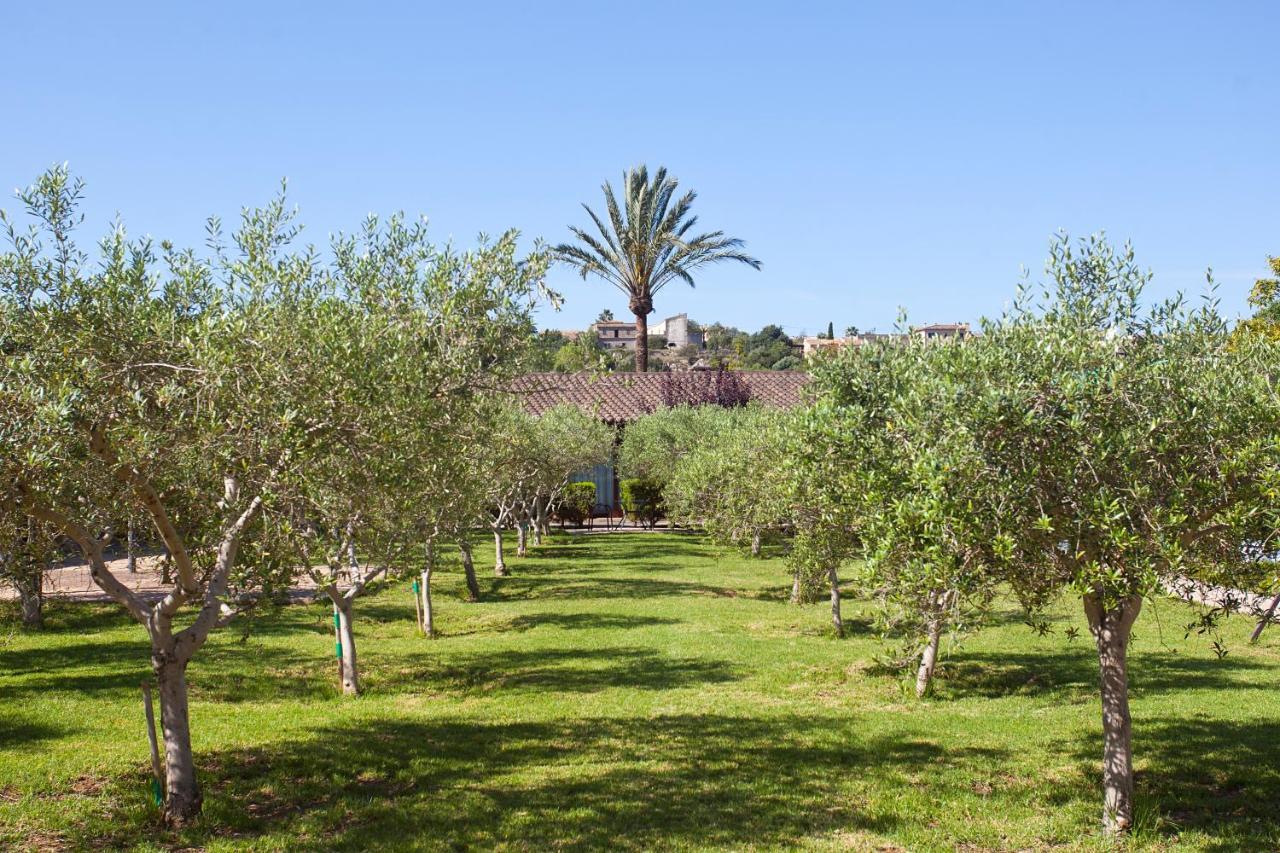 Agroturismo S'hort De Son Caulelles - Adults Only Marratxí