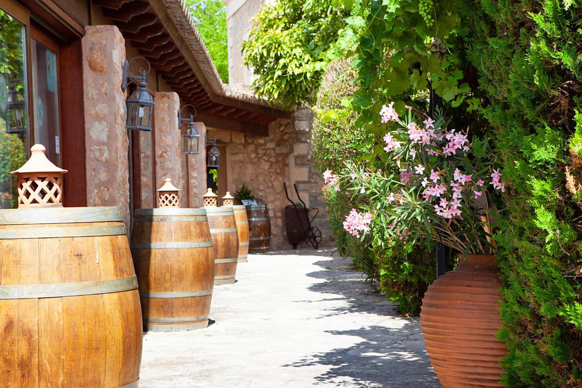 S'hort De Son Caulelles - Adults Only * Marratxí